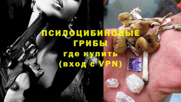 бутират Каменногорск