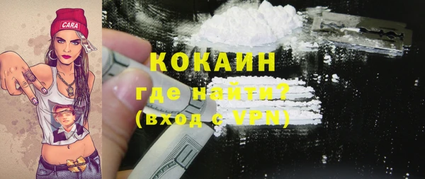 метадон Каменка