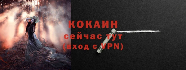 метадон Каменка