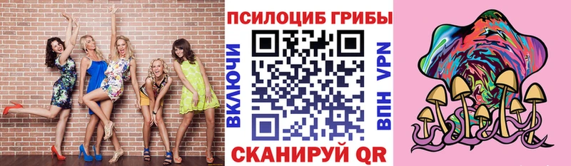 Псилоцибиновые грибы MAGIC MUSHROOMS  Купить закладки  Егорьевск 